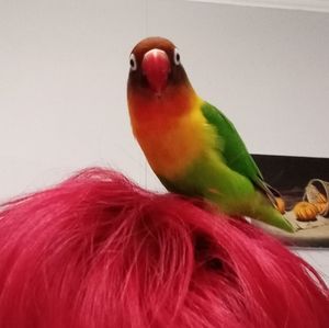 Meet your Posher, Alejandra